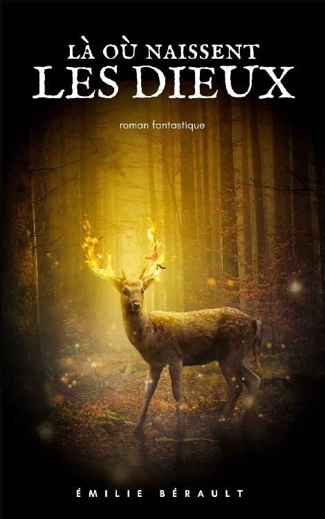 Là où naissent les dieux (French Edition)