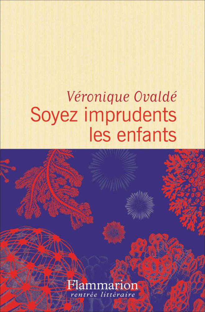 Soyez imprudents les enfants (Flammarion, 17 août)