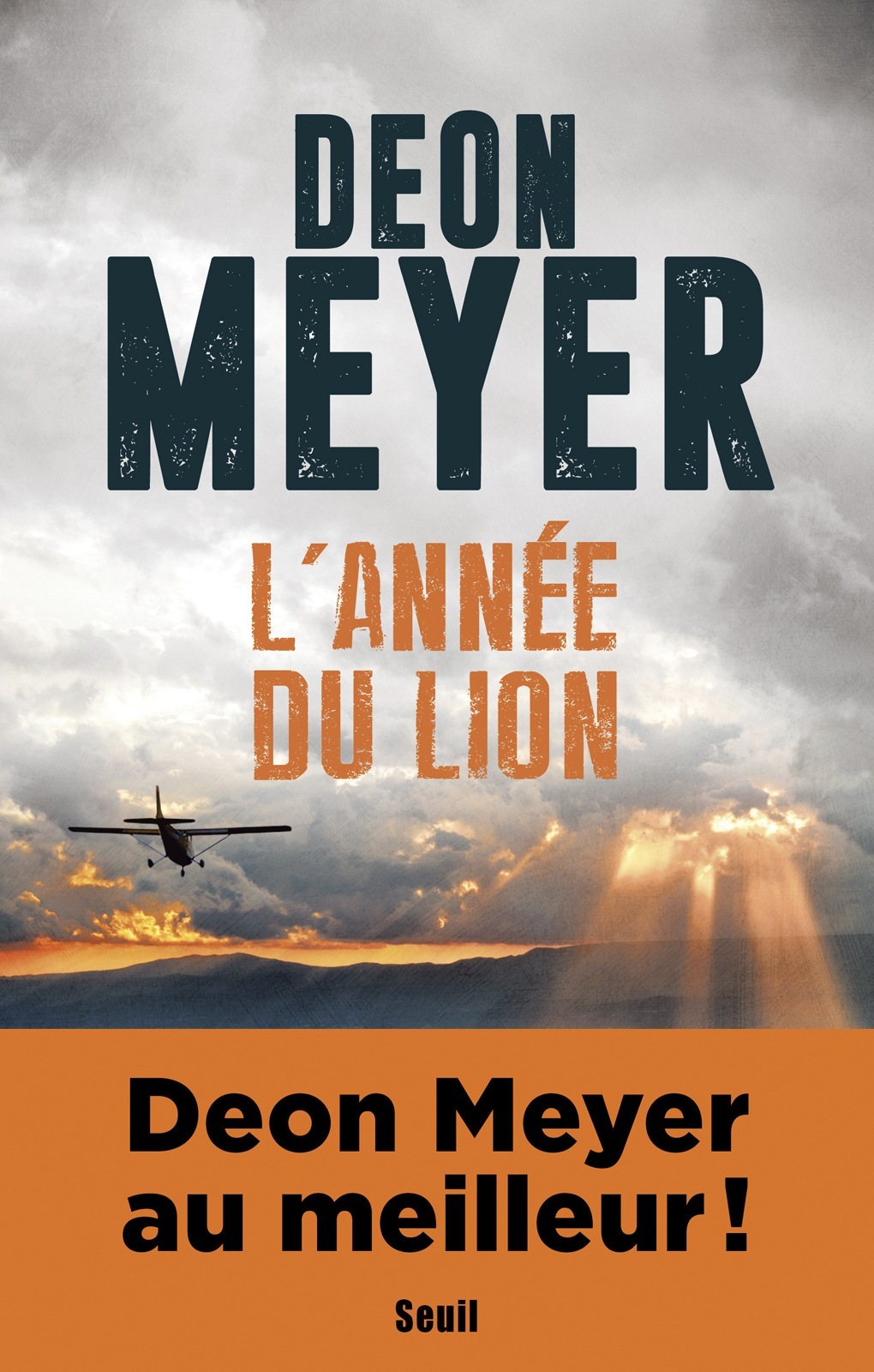 det_L'Année du lion
